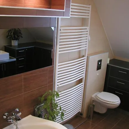 ゲストハウス Roxane Panzio ブダペスト